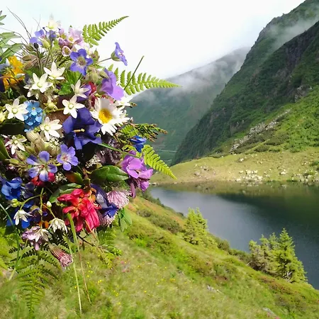 Berndlhof Mitterberg - Groebming - Schladming דירה