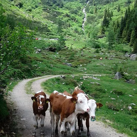 דירה Berndlhof Mitterberg - Groebming - Schladming *