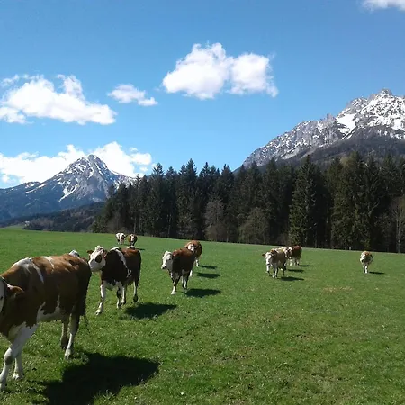 Berndlhof Mitterberg - Groebming - Schladming Gersdorf
