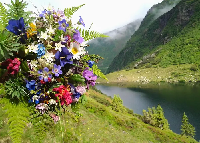Berndlhof Mitterberg - Groebming - Schladming شقة