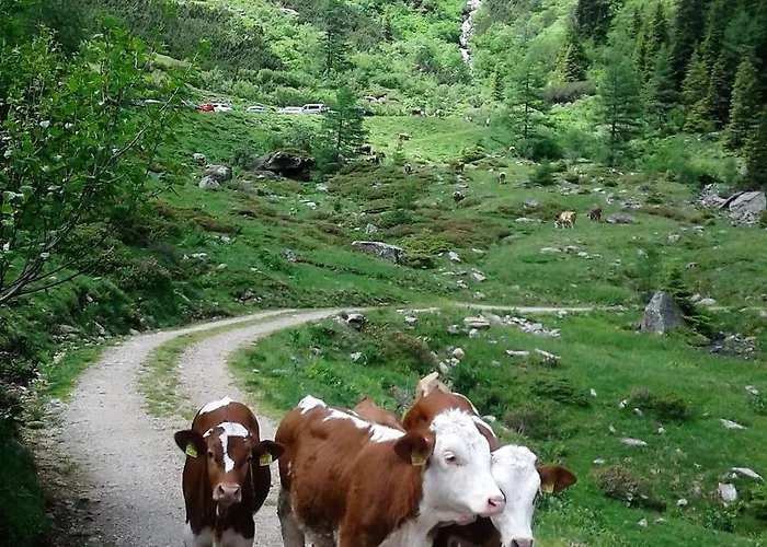 شقة Berndlhof Mitterberg - Groebming - Schladming *