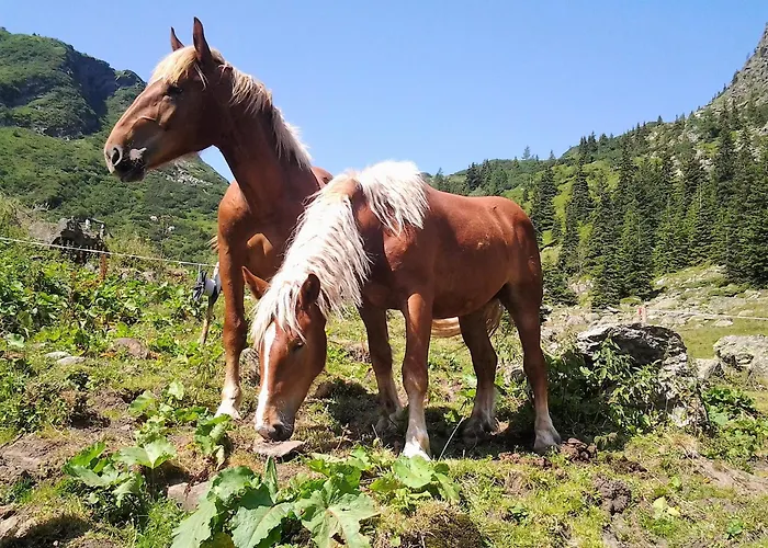 Berndlhof Mitterberg - Groebming - Schladming شقة *