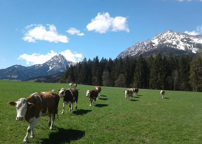 Berndlhof Mitterberg - Groebming - Schladming Gersdorf